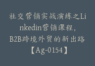 社交营销实战演练之Linkedin营销课程，B2B跨境外贸的新出路【Ag-0154】-副业圈