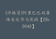 (许林芳)阿里巴巴政委体系运作与实践【Dh-0040】-副业圈