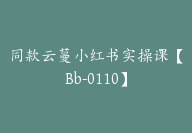 同款云蔓小红书实操课【Bb-0110】-副业圈