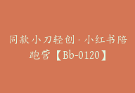 同款小刀轻创·小红书陪跑营【Bb-0120】-副业圈