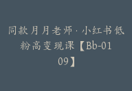 同款月月老师·小红书低粉高变现课【Bb-0109】-副业圈