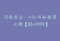同款梨云·小红书私教第七期【Bb-0099】-副业圈
