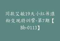 同款艾敏19天小红书涨粉交现特训营-第7期【Bb-0113】-副业圈