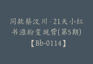 同款蔡汶川·21天小红书涨粉变现营(第5期)【Bb-0114】-副业圈