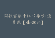 同款雪梨小红书养号+流量课【Bb-0095】-副业圈