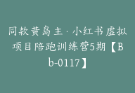同款黄岛主·小红书虚拟项目陪跑训练营5期【Bb-0117】-副业圈