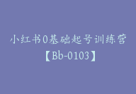 小红书0基础起号训练营【Bb-0103】-副业圈