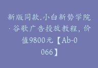 新版同款.小白新势学院·谷歌广告投放教程，价值9800元【Ab-0066】-副业圈